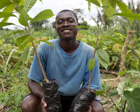 tree planting in the congo basin